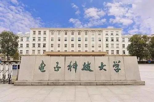 四川42所高校開學！計算機領域如何搶占技術開發新浪潮？
